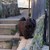 20150310-bolonka-bellis-013